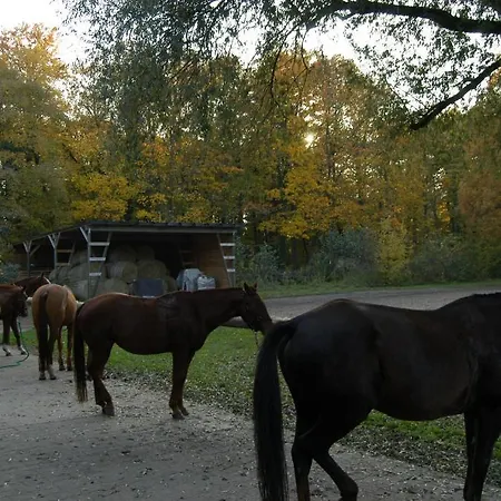 Gaestehaus Am Landgut Schonwalde-Glien