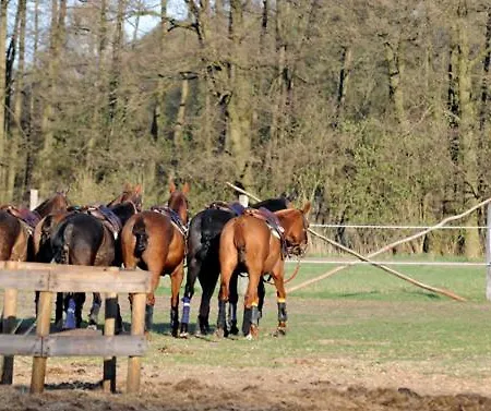 Gaestehaus Am Landgut *
