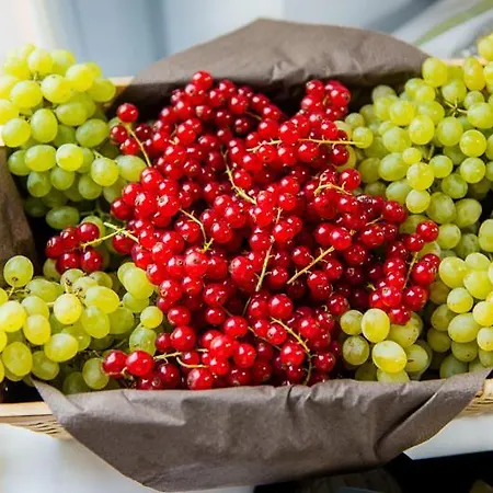 Gaestehaus Am Landgut Schonwalde-Glien