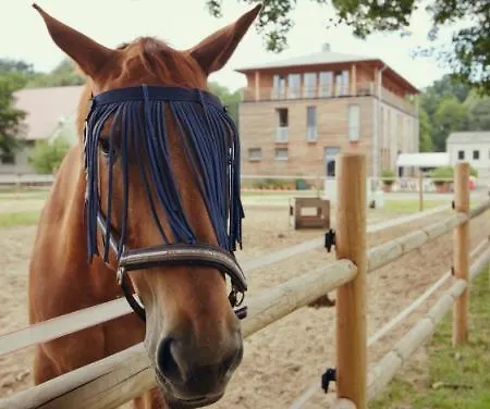 Апартаменты Gaestehaus Am Landgut