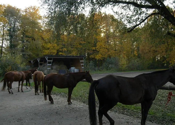 Gaestehaus Am Landgut Schonwalde-Glien