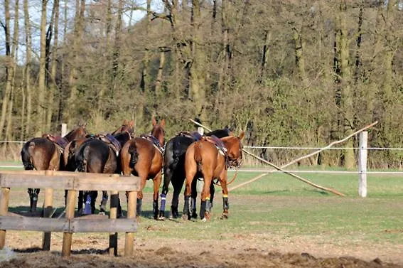 Gaestehaus Am Landgut *